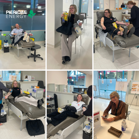Pieridae Blood Drive